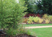Bold Geometric Garden 3