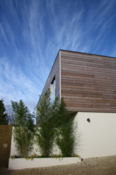 Contemporary Garden