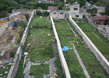 Historic Garden 2