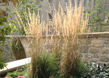 Perennial Garden 3