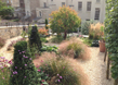 Perennial Garden 5