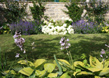 Townhouse Garden 3