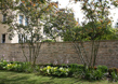 Townhouse Garden 5