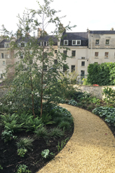 Tranquil Spaces