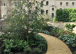 Tranquil Spaces 1